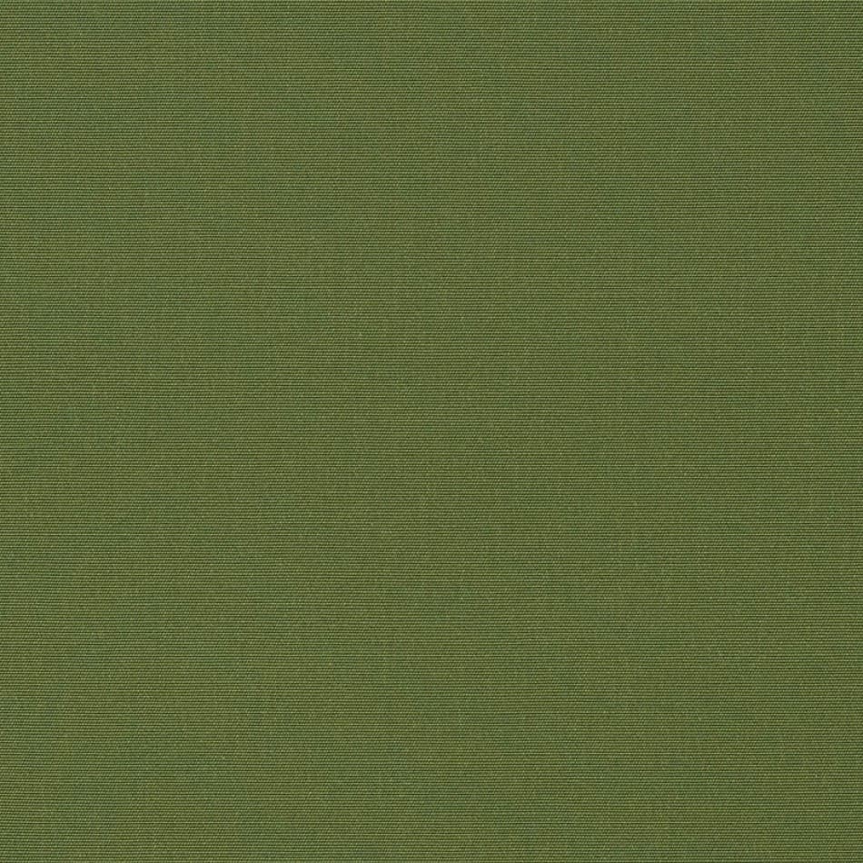 Palm
