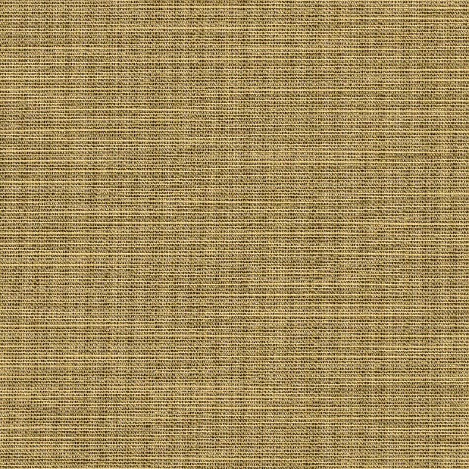 Silica Barley