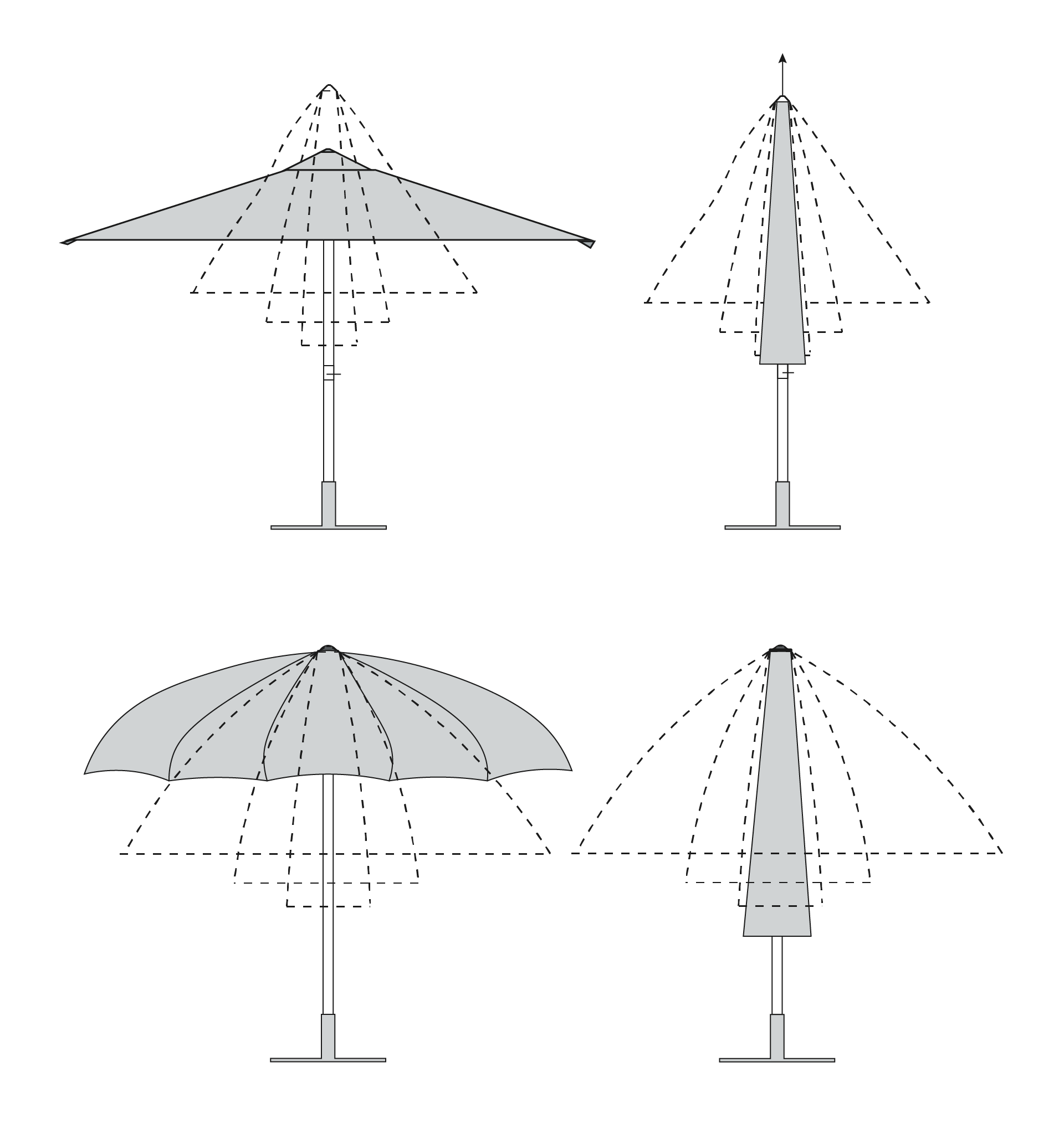 Pisa / Cupola Collection
