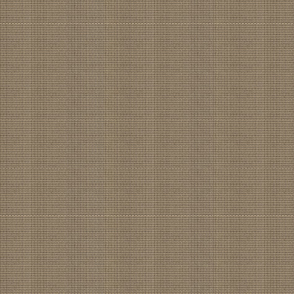 Coriander