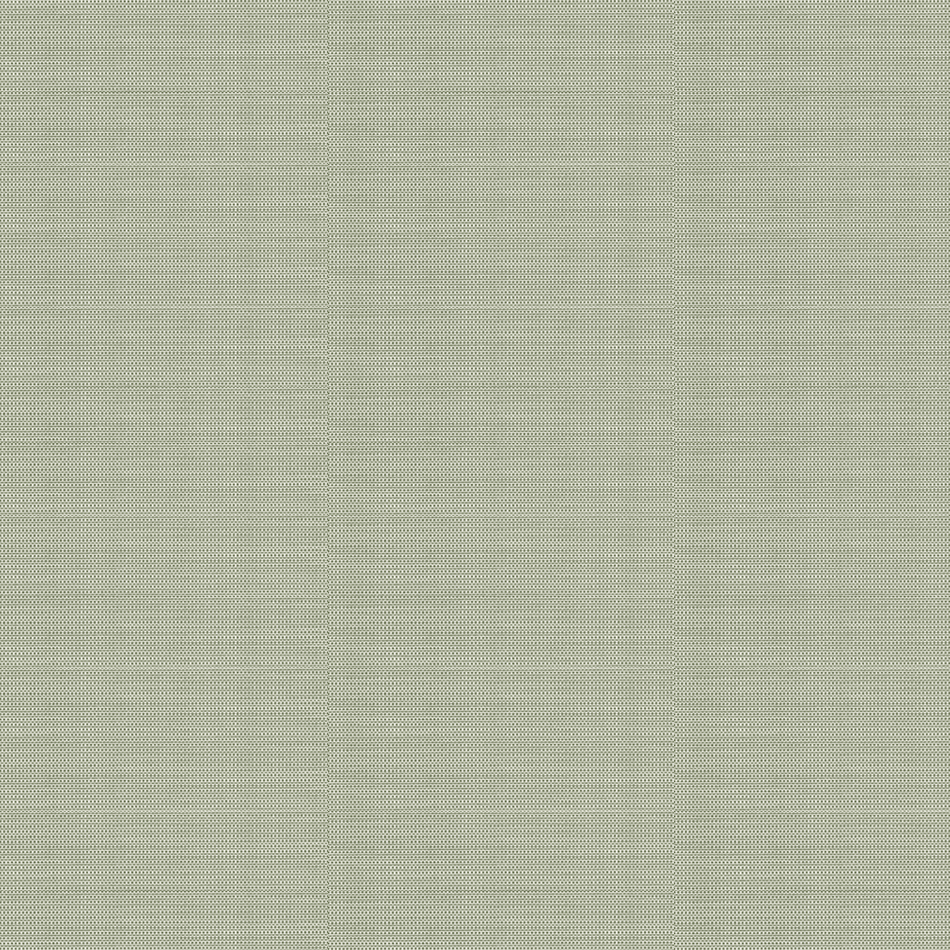 Lettuce Tweed