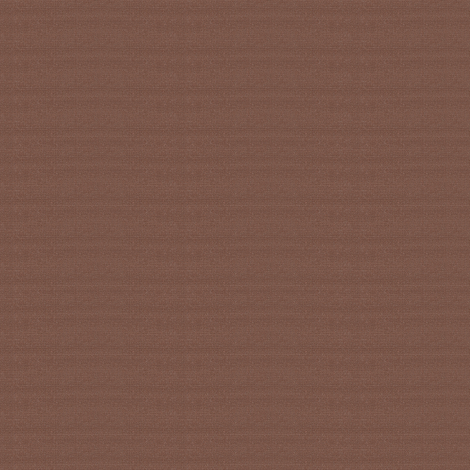 Sequoia