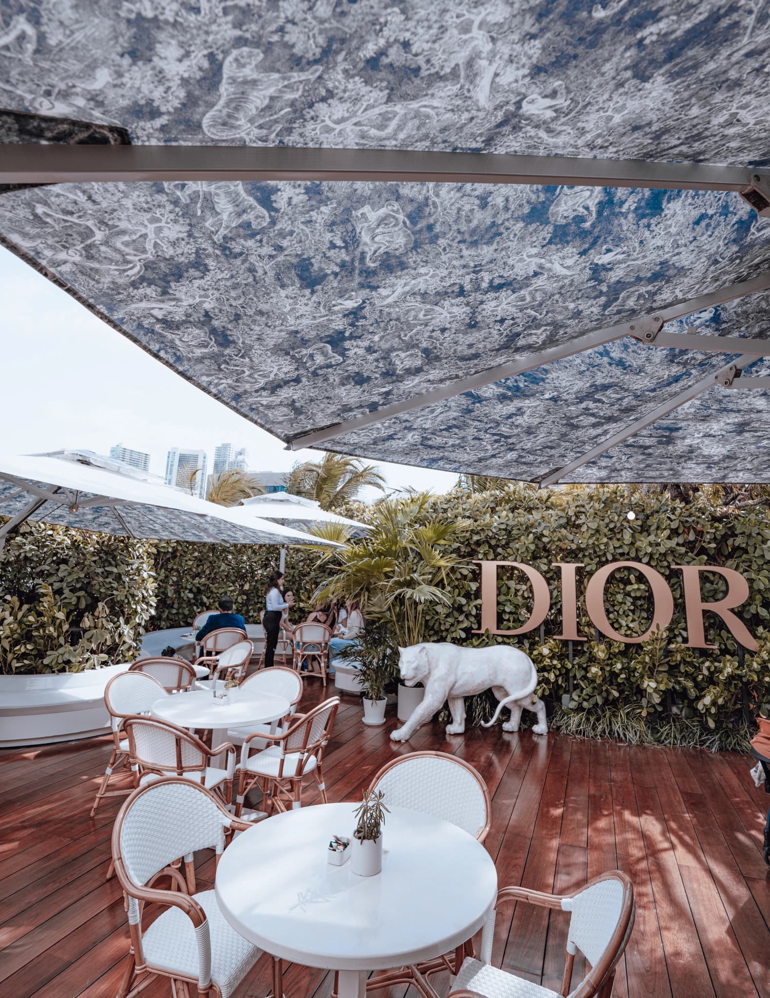 Christian Dior Café alternate view