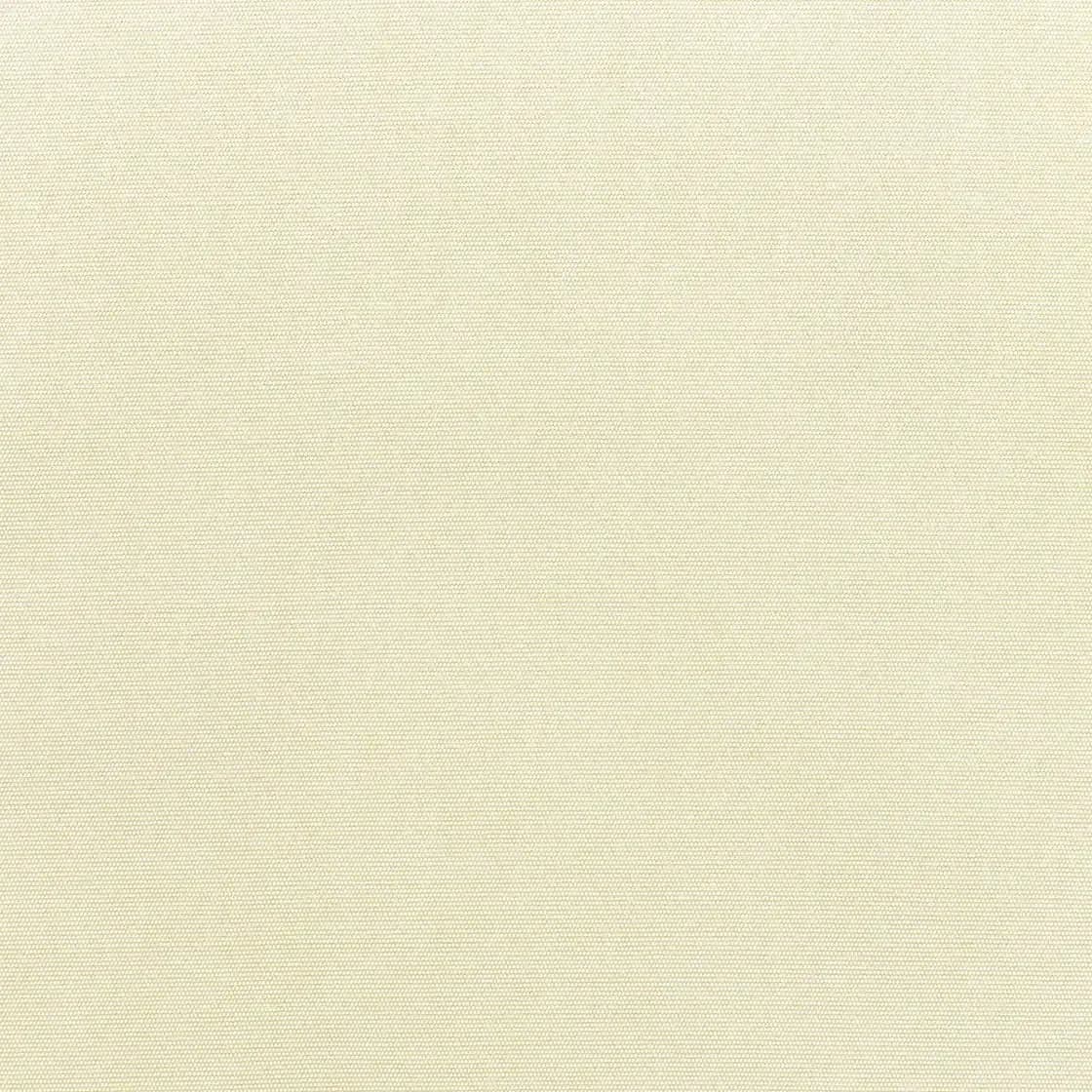 Canvas Canvas