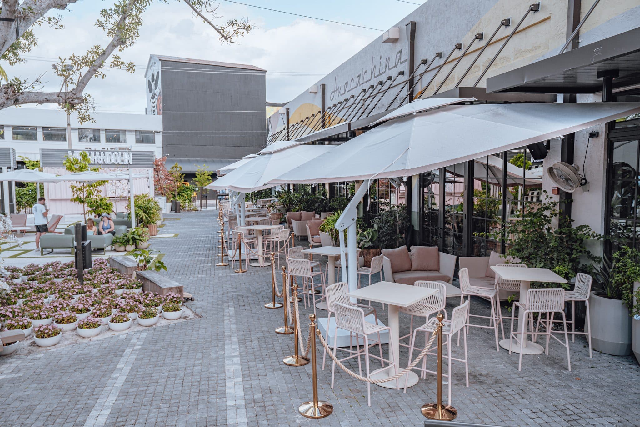 Oasis Wynwood alternate view